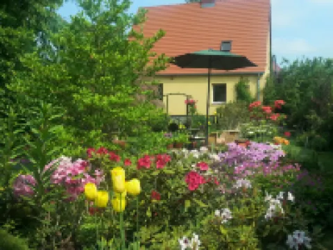 Apartment under Cedar Hotels in Wroclawski