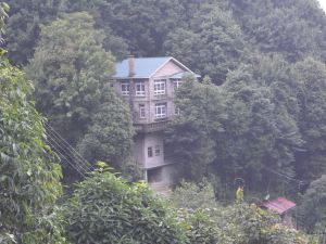 Rhododendron Dell Exoctic Resort - Darjeeling