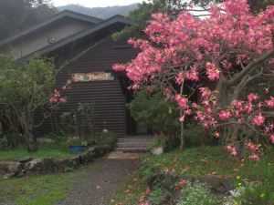 Amami Suketen no Yado a guest house for rent only