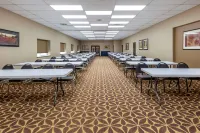 Comfort Inn Santa Rosa on Route 66 - Разрешено размещения с домашними животными