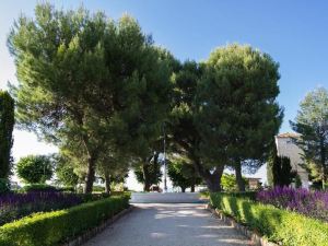 B&B la Finestra Sul Campanile