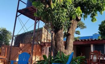 Managua Backpackers Inn