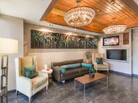 Holiday Inn Express Redwood City-Central Hotels in Redwood City