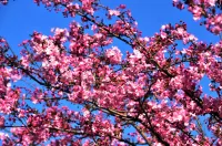 Huai'an Aishang Wanda Apartment