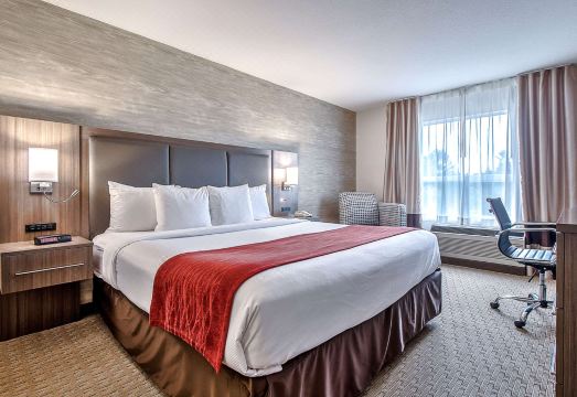 컴포트 인 & 스위트 사우스