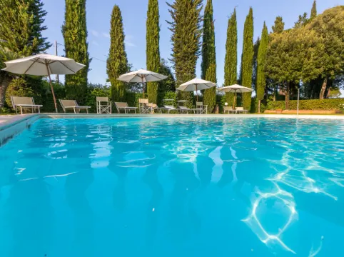 Giuggiolo - Giuggioli 1