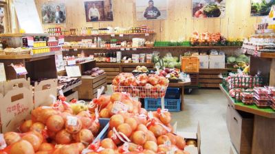 ホテル周辺 ホテル＆リゾーツ 南淡路の写真