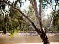 Charles Sturt Motor Inn Hotels in Cobram