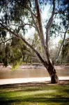 Charles Sturt Motor Inn Hotels in Mywee