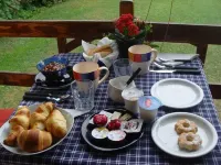 Forest View B&B Hotels in Gavi