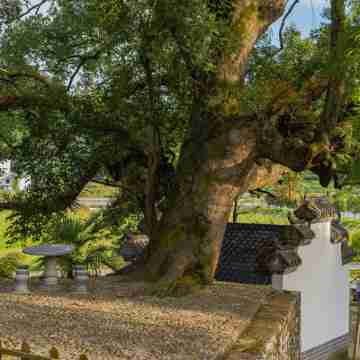 青年作家公寓（陳家塢村健走步道分店） Hotel Exterior