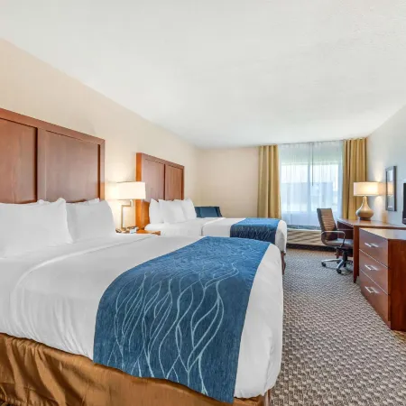 Comfort Inn & Suites Near Route 66