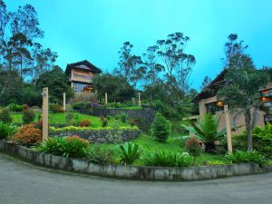 Tea Terrain Resorts & Spa