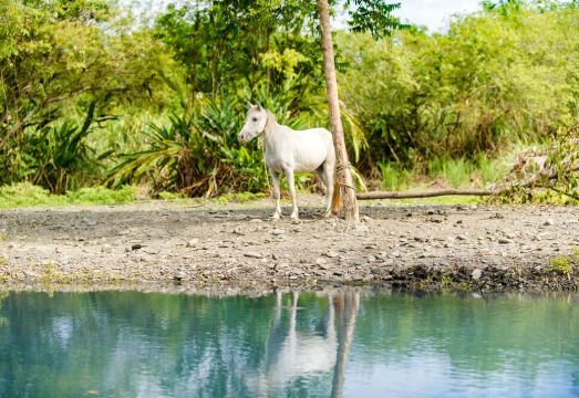 3. 타이 핑 산 인..