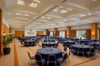 Hilton Rome Airport Hotels in Fiumicino