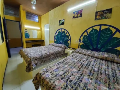 Hotel Suites Elia Noemi Hotels near BORTEX suplementación deportiva