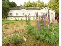 Mt Fuji B&B Pension le Lagon