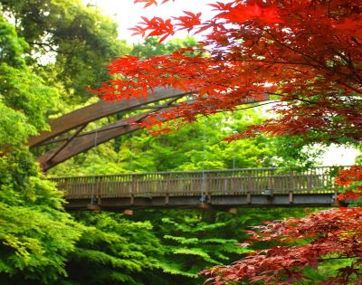 ホテル周辺 白壁荘の写真