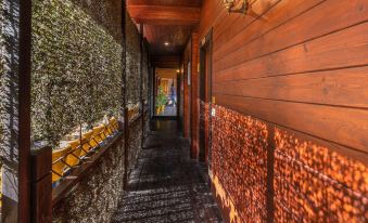 The Hosteller Kasar Devi