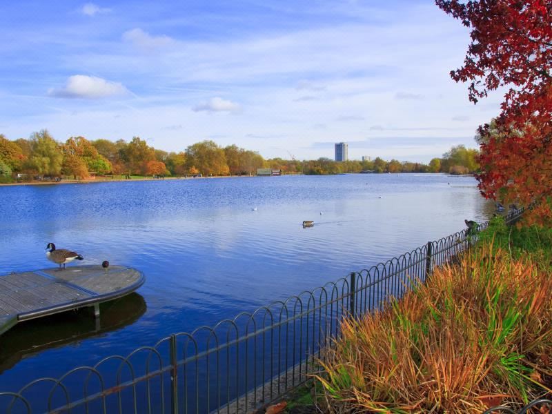 5. 배리 하우스 호..