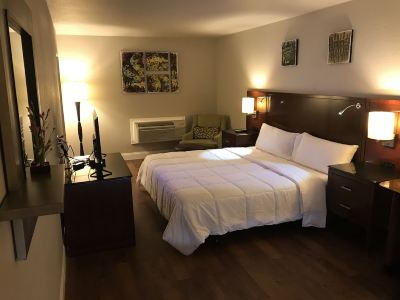 Luxury Suite, 1 King Bed, Refrigerator & Microwave