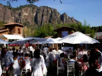 Hacienda Santa Rosalia Parador Hipico - Pet friendly