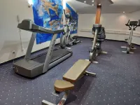 Plaza Hotel Capitole Toulouse - Gym