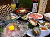 Koensou Hotels in Sano