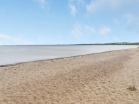 "Sigurd" - 20m from the Sea