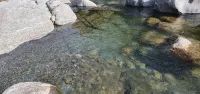 Green Valley