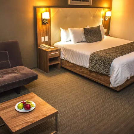 Casa Inn Business Irapuato