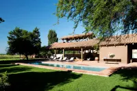 Noi Blend Colchagua - piscina