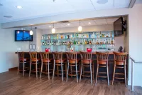 Holiday Inn 梅泰裏新奧爾良機場 - 酒吧