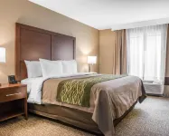 Comfort Inn & Suites Pittsburgh South Hotels in Green Tree