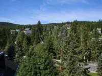 Harrachov 497 Hotels in Harrachov v Krkonosich