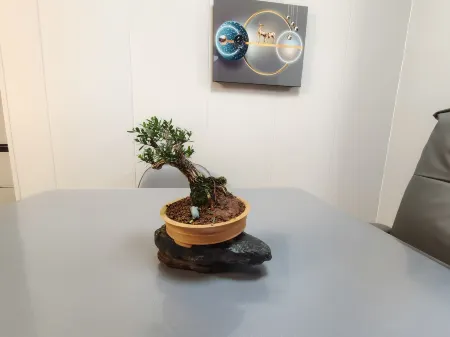 Sanfu Apartment (Qipan Street)