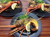 Yugaku Resort Kimukyura Hotels near megane super (Tokunoshima)