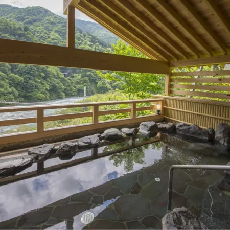 Sanyanagitei Ryokan