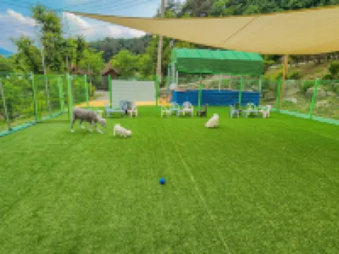Hwacheon Land Pension (Dog Friendly, Dog Park) Hotels in Hwacheon-gun