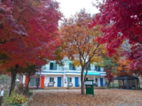 Chuncheon Forest Green Pension (Nami Island, Ski Resort, Rail Bike) Hotels near Nami Island