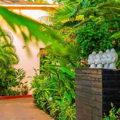 O Hotel Goa, Candolim Beach Hotel Exterior