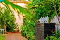 O Hotel Goa, Candolim Beach Hotels in Candolim