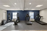 希爾頓歡朋套房飯店-佩託斯基 - 健身房
