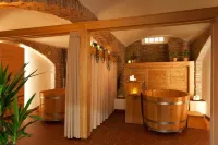 Hotel Pod Zelenym Dubem Hotels in Bohumin