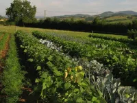 La Ferme du Chapi Hotels in Tarare