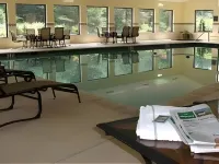 Country Inn & Suites by Radisson, Atlanta Galleria/Ballpark, GA - piscina