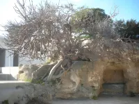 Il Gallo Hotels in Monopoli