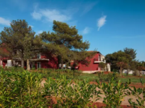 Apartments Polynesia Plava Laguna Hotels in Umag