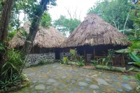 Cohune Palms River Cabanas Hotele w: Bullet Tree Falls