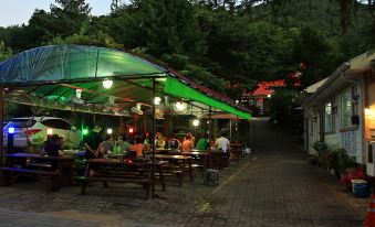 Goesan Geumseong Pension